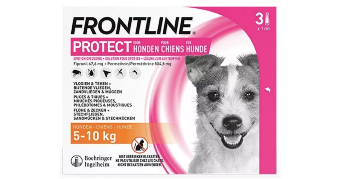 La Leishmaniose chez le chien