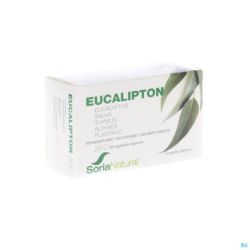 Soria 26-C Eucalipton 60 gélules