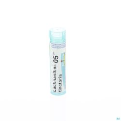 Boiron Granules Lachnanthes Tinctoria 5ch 4