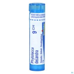 Boiron Granules Phytolacca Decandra 9ch 4 G