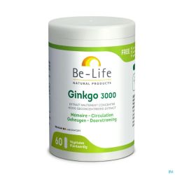 Gink-go 60g