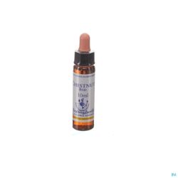 Healing Herbs Chestnut Bud Ue 10 Ml