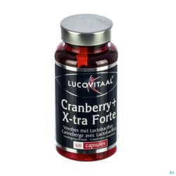 Lucovitaal Cranberry X-tra Forte Gélules 60