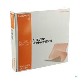 Allevyn Non Adh Pans Hydrocel. 15x15cm 10 66800013