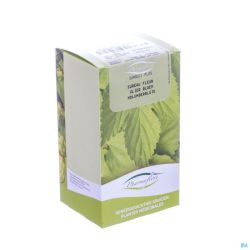 Sureau Fleur Bt Pharmaflore 100 G