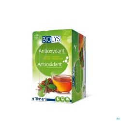 Biolys Thé Vert 24 Infusettes