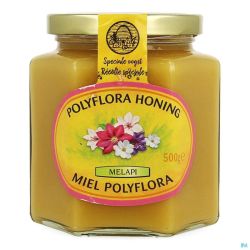 Melapi Miel Polyflora Doux 500 G