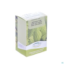 Camomille Vulgaire Fleur Bt Pharmaflore 50 G