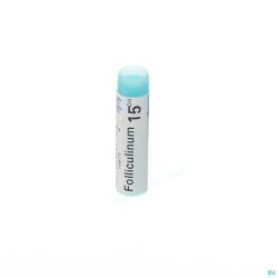 Folliculinum 15ch Gl Boiron