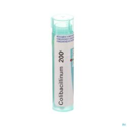 Boiron Granules Colibacilinum 200k 4 G