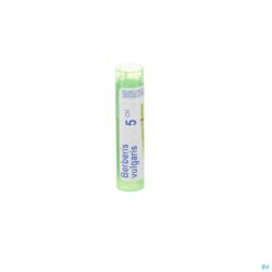 Boiron Granules Berberis 5ch 4 G