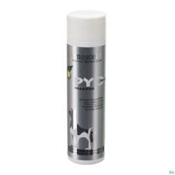 Dermoscent Pyoclean Shampoo Chien Chat Fl 200ml
