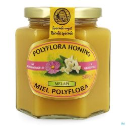 Melapi Miel Polyflora + Gel Royale 500 G