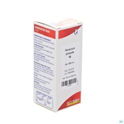 Boiron Hieracium Pilosella Teinture Mère 60 Ml