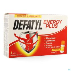 Defatyl Energy Plus Flacons 14