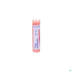 Boiron Granules Thuya Occidentalis 7ch 4 G