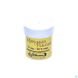 Mangane Pidolate Deba 60 Gélules 17 Mg