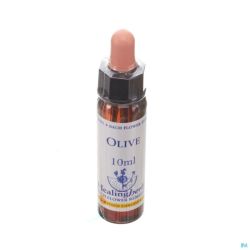 Healing Herbs Olive Ue 10 Ml