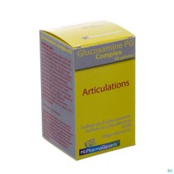 Pharmagenerix Glucosamine Complex Pg 60