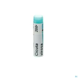 Boiron Glob Cicuta Virosa 200k