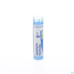 Caulophyllum Thalictroides 9ch Granules 4g Boiron