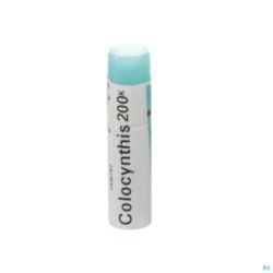 Boiron Glob Colocynthis 200k