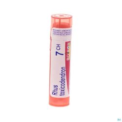 Boiron Granules Rhus Toxicodendron 7ch 4 G