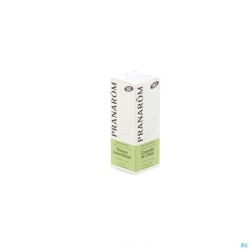 Cannelier De Chine Bio Hle Essentielle 10ml Pranarom