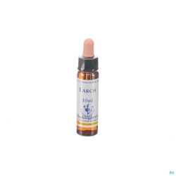 Healing Herbs Larch Ue 10 Ml