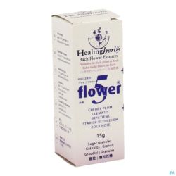 Healing Herbs 5 Flowers Granules 15g