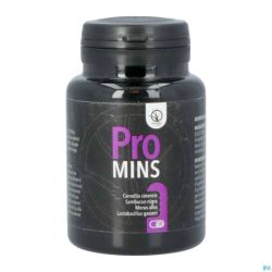 Promins Comprimés 120