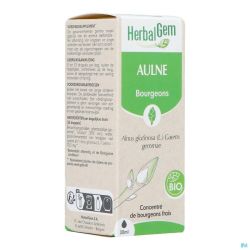 Herbalgem Aulne Glut Bio 30ml