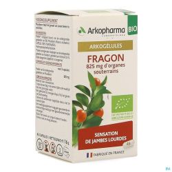 Arkogelules Fragon Bio Gélules 45 