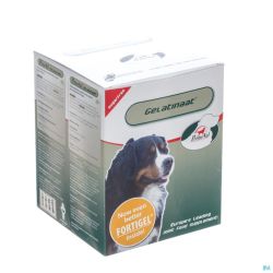 Primeval Artrose Chien Vétérinaire 500 G