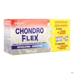 Govital Chondroflex 180 Comprimés