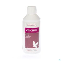 Avi-chol Liquide Vétérinaire 250 Ml