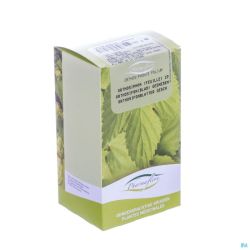 Orthosiphon Feuille Coup Bt Pharmaflore 100 G