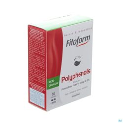 Polyphenols Bioholistic 30 Gélules