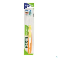 Gum Toothbrush 583 Brosse à Dents Activital Compact Medium 1 Pièce