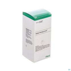Heel Sabal Ha Gouttes 100 Ml