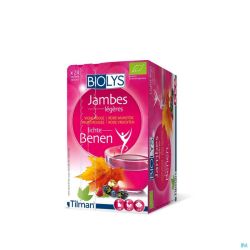 Biolys Vigne Rouge Fruits Rouges 24 Infusettes