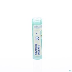 Boiron Granules Phytolacca Decandra 30k 4 G