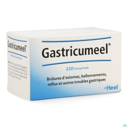Gastricumeel Comprimés 250