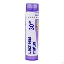 Lachesis Mutus 30ch Granules 4g Boiron