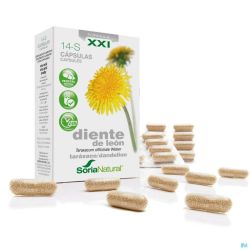 Soria 14-s Taraxacum Xxi Gélules 30
