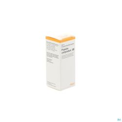 Heel Populus Gouttes Compos 30 Ml
