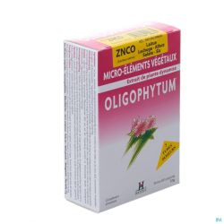 Oligophytum Zn-ni-co Bioholistic 300 Gra