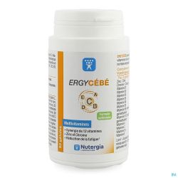 Ergycebe Gélules 90