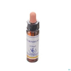 Healing Herbs Hornbeam Ue 10 Ml