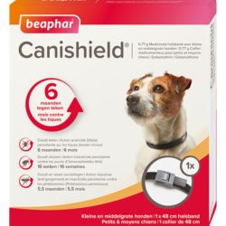 Beaphar Canishield Collier Antipuces pour Chien Small Medium